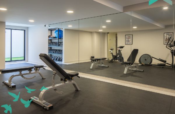 PD Arrow_SR21 - Gym 1