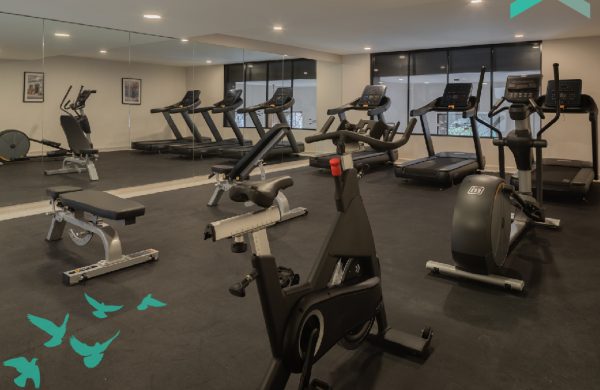 PD Arrow_SR21 - Gym 2