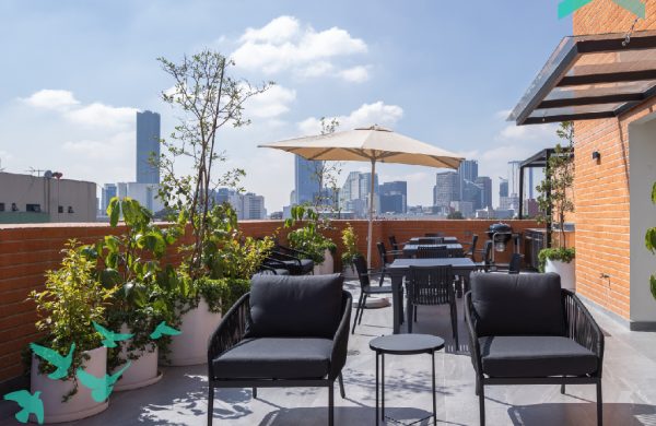 PD Arrow_SR21 - Roof Grden 5