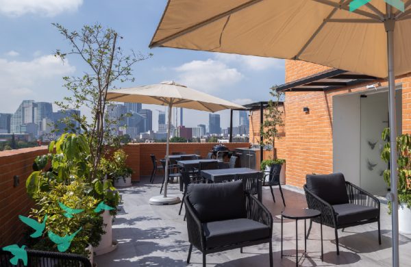 PD Arrow_SR21 - Roof Grden 7