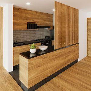 Rio Ebro 33 Render-4-Cocina