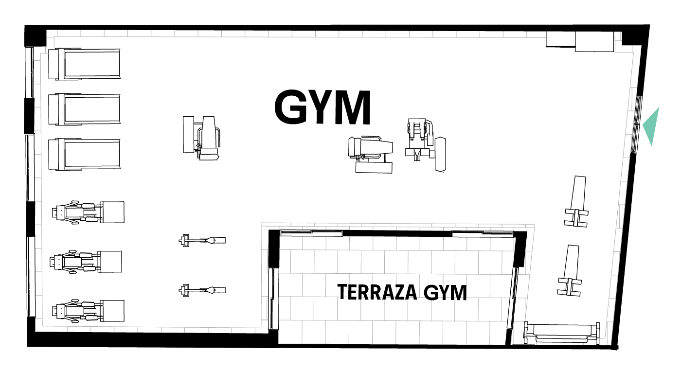 SR15_N1 - Amenidades - Gym