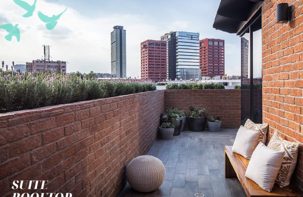 Arrow_RD2 - Suite Rooftop 5
