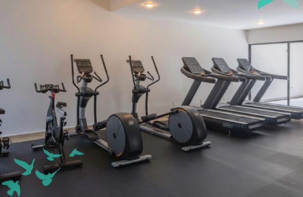 Fotos_Coah34 - Gym 1