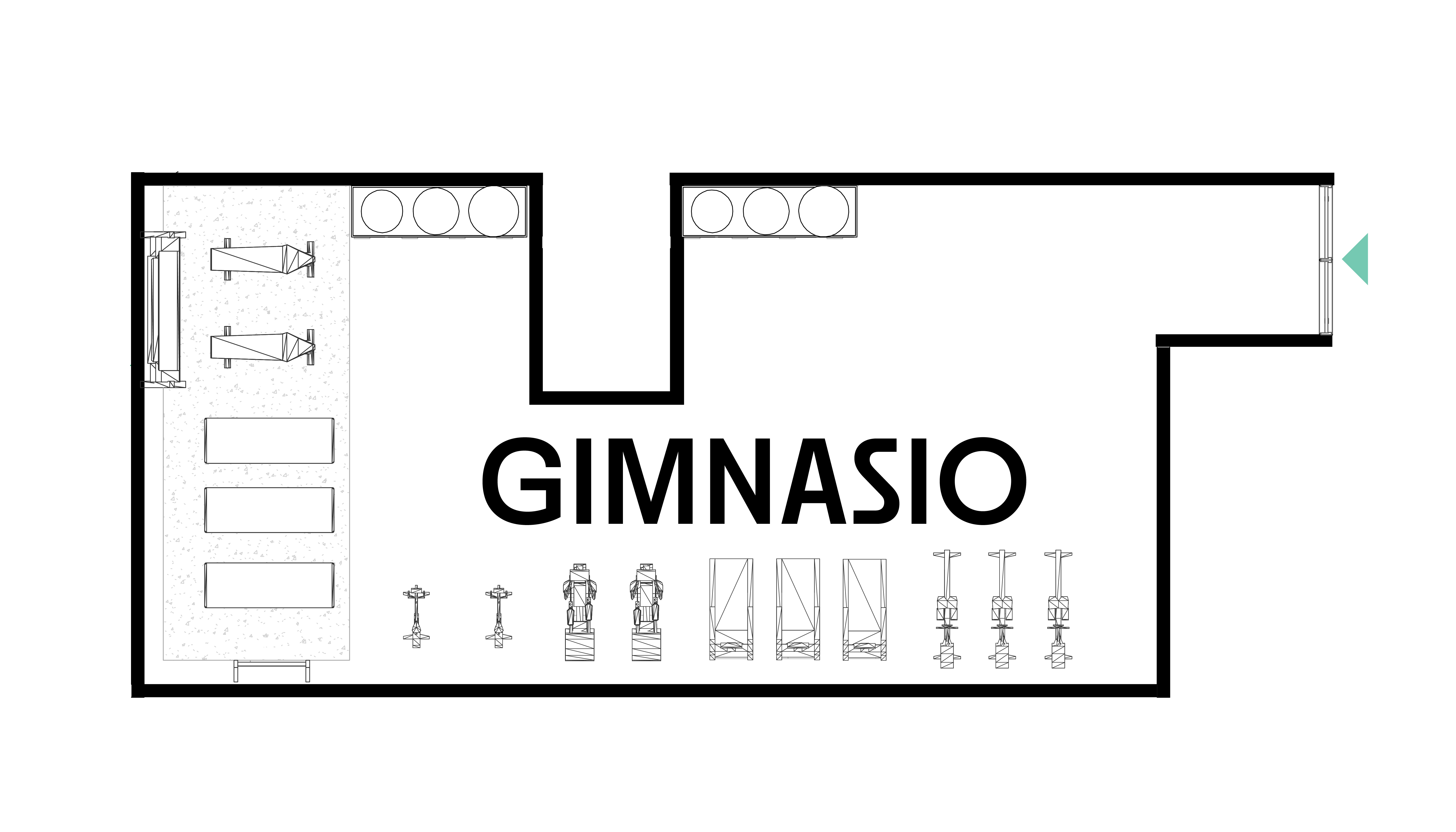 Chis13 Plantas x Nivel_Gym